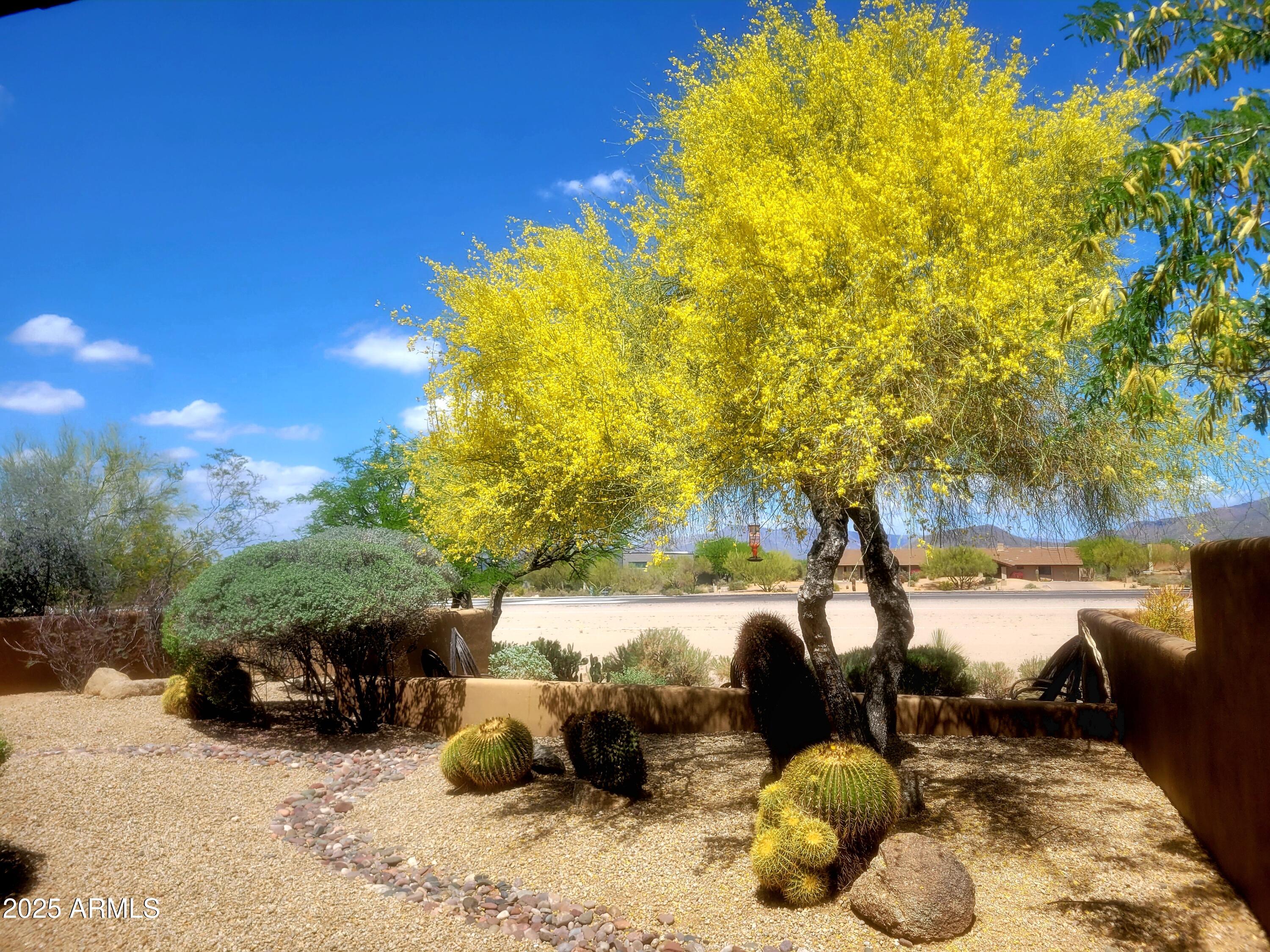 8502 E CAVE CREEK Road 10