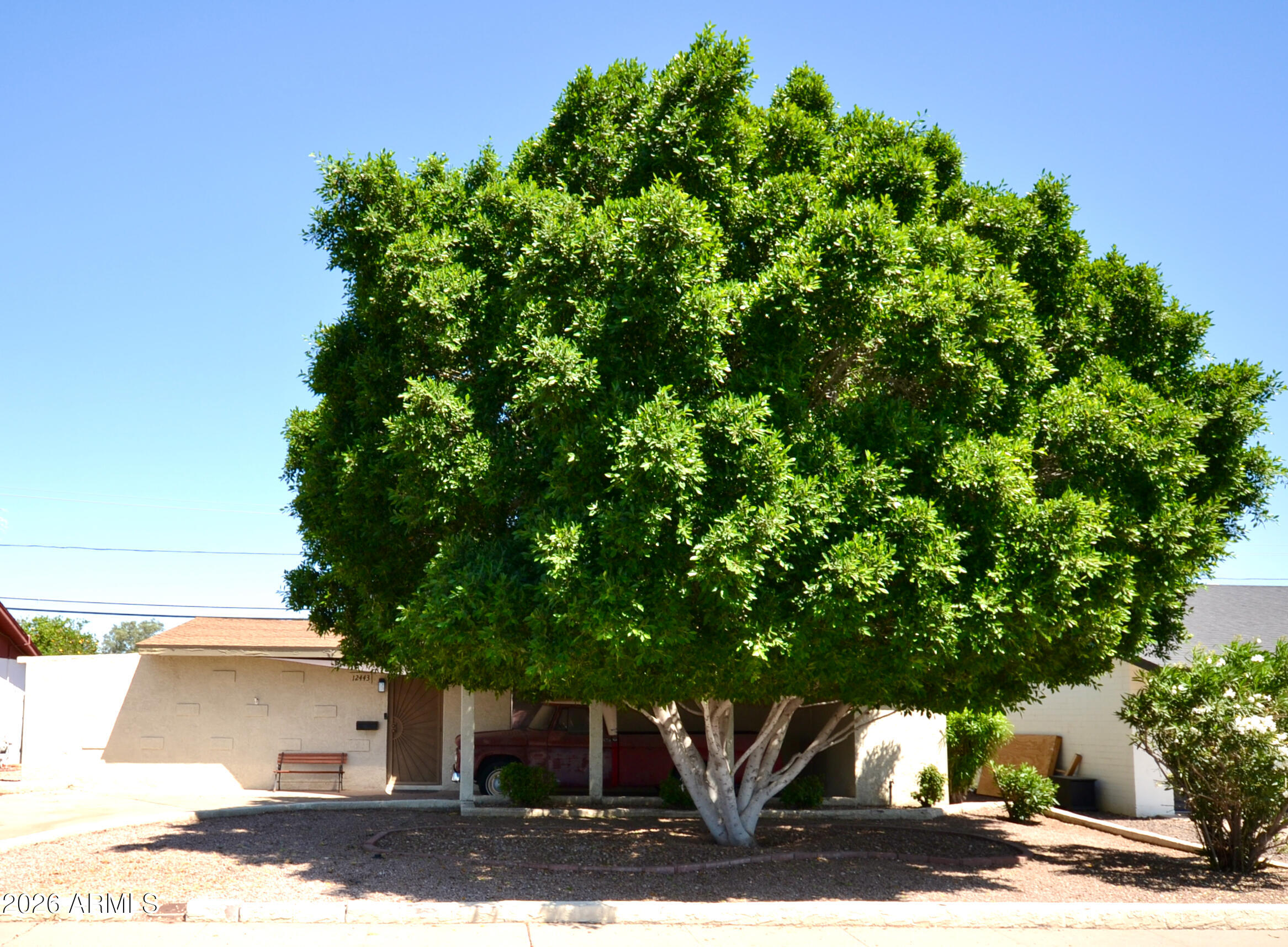 COX MEADOWS - Residential