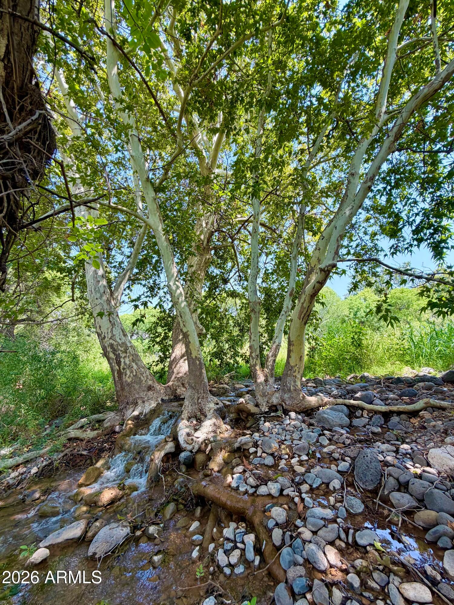 3080 E RIMROCK Drive 9