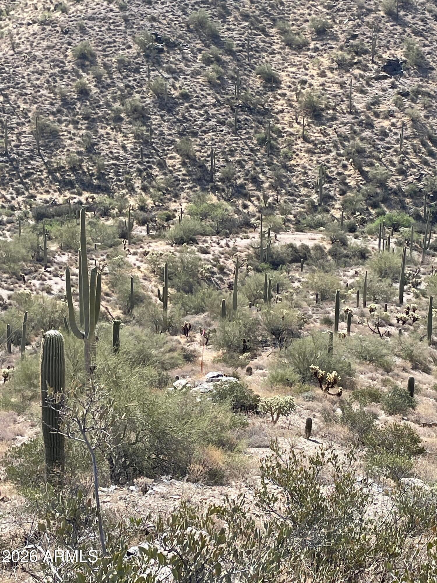 3246 N SILVER TIP Trail -