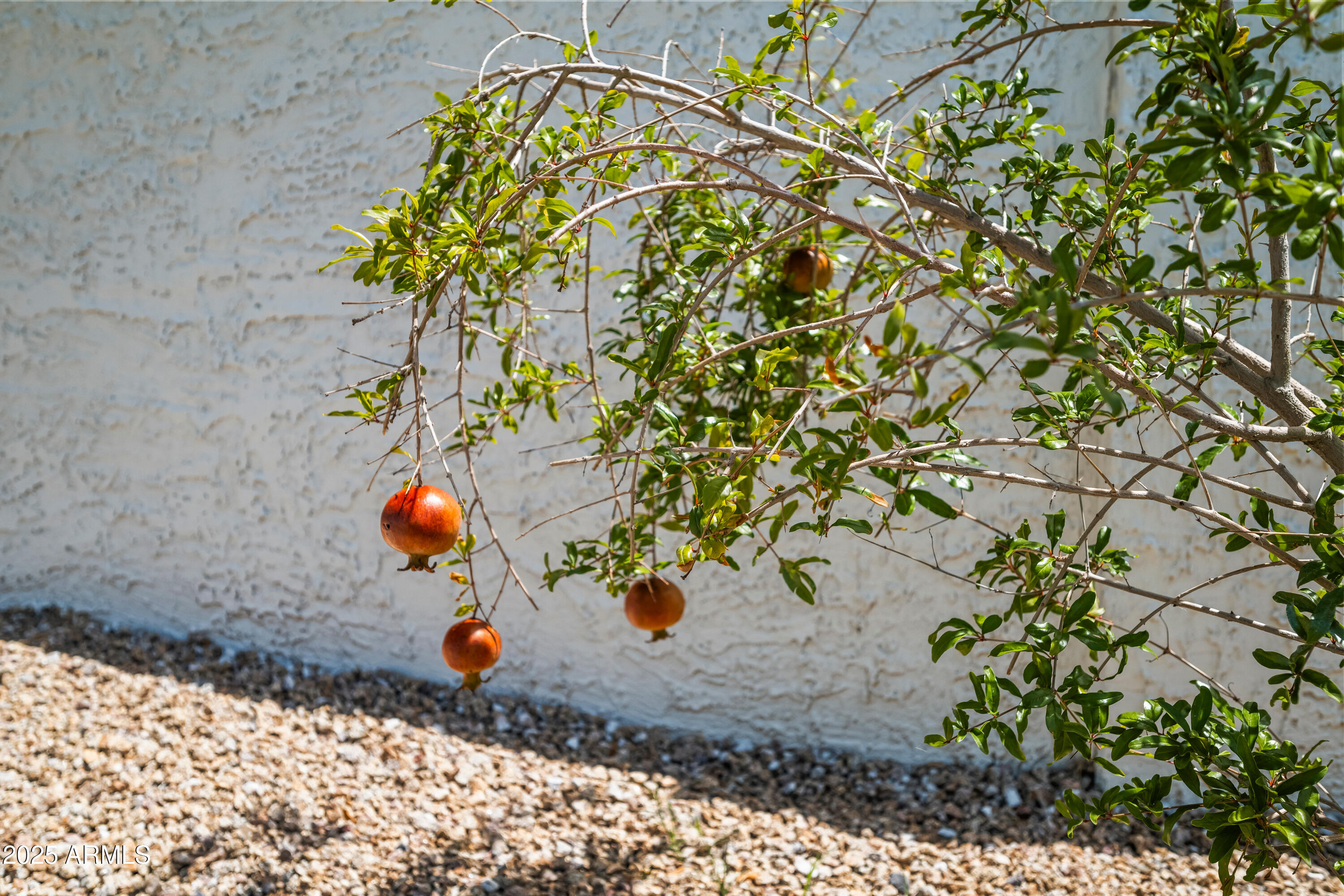 Scottsdale, Arizona 85254, United States, 4 Bedrooms Bedrooms, ,3 BathroomsBathrooms,Residential,Active,195820