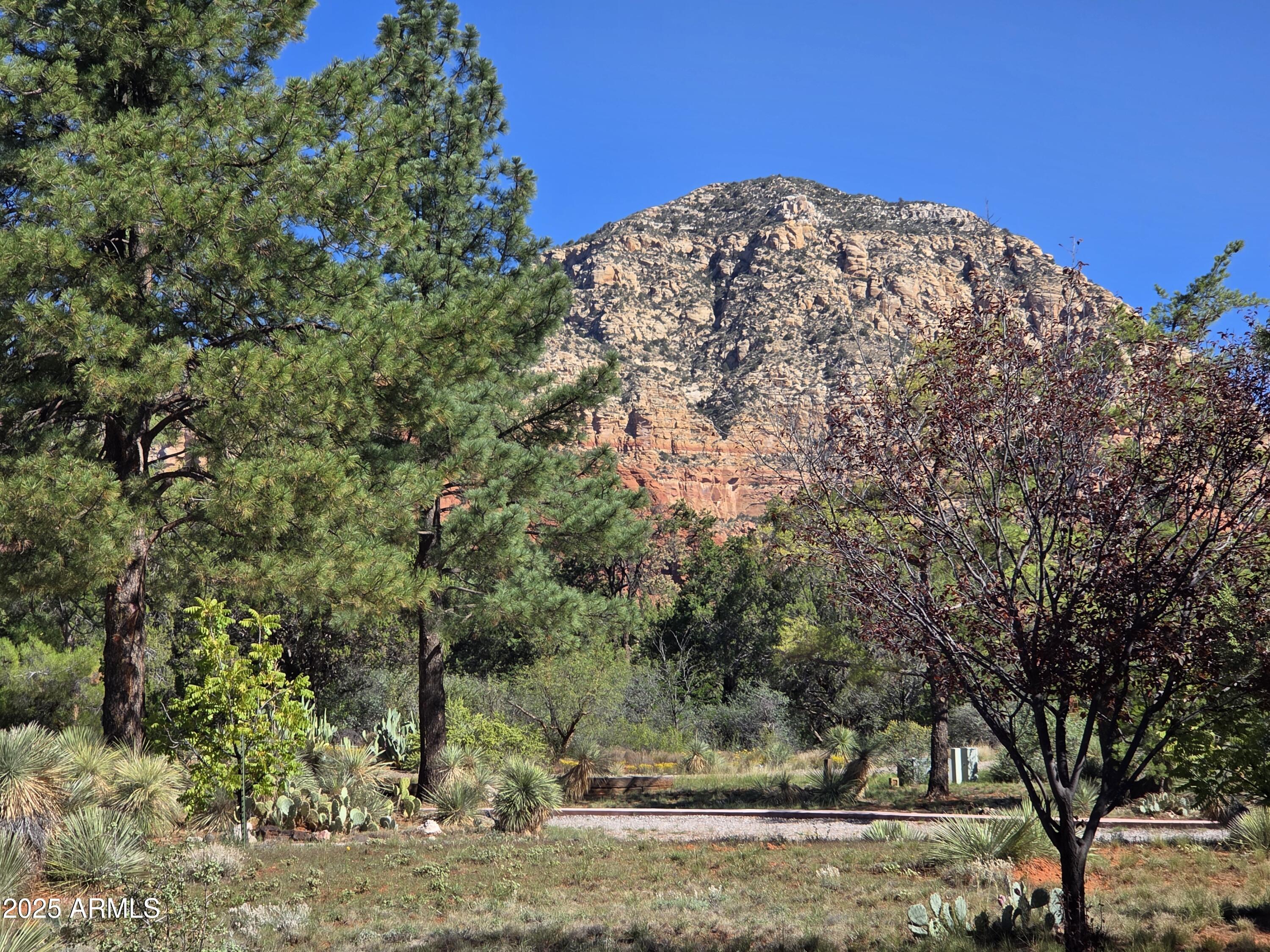 253 Roadrunner Drive