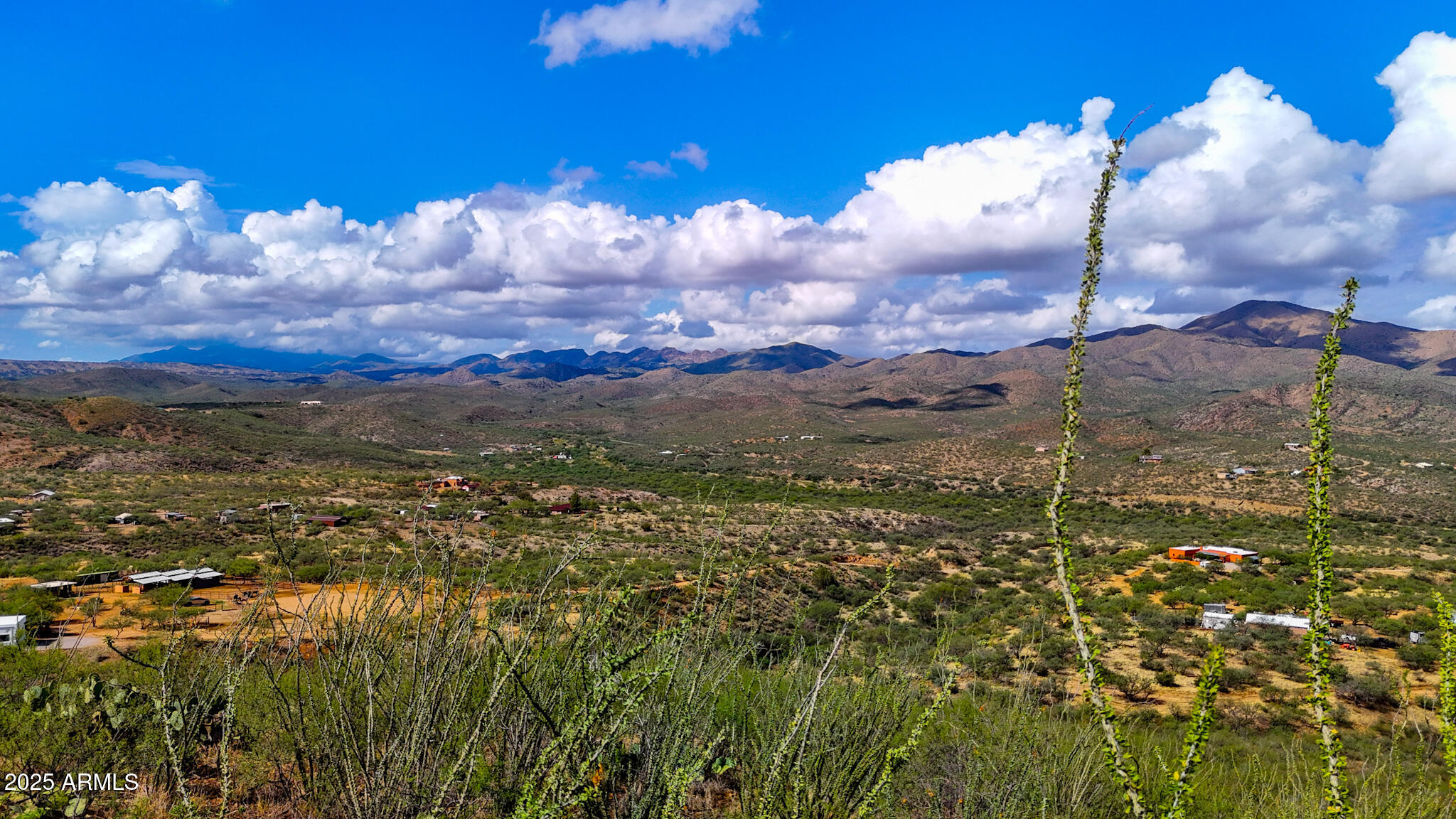 19795 S ATTAWAY Place -