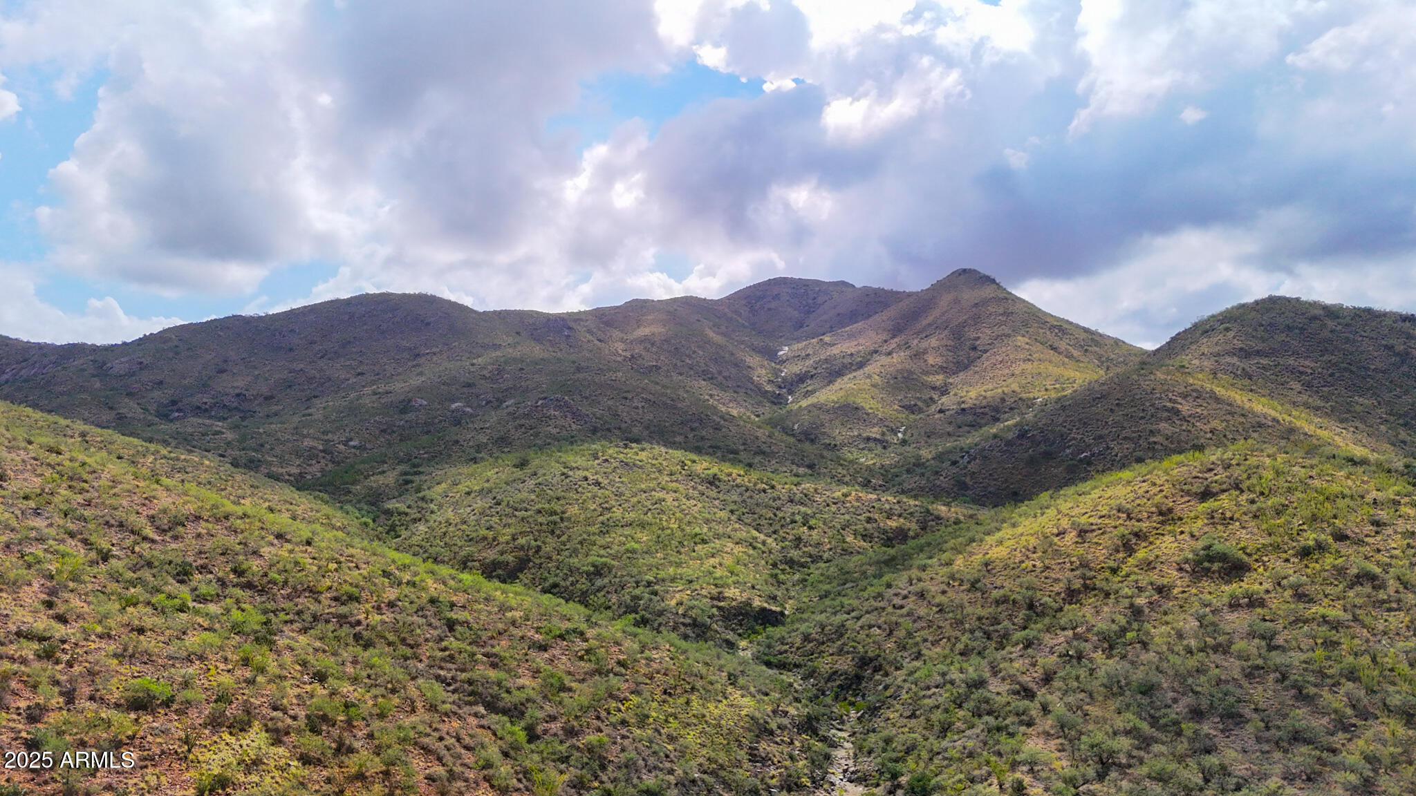 19795 S ATTAWAY Place -