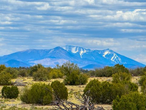 9984 W TRAPPER Way 1007 Williams AZ 86046