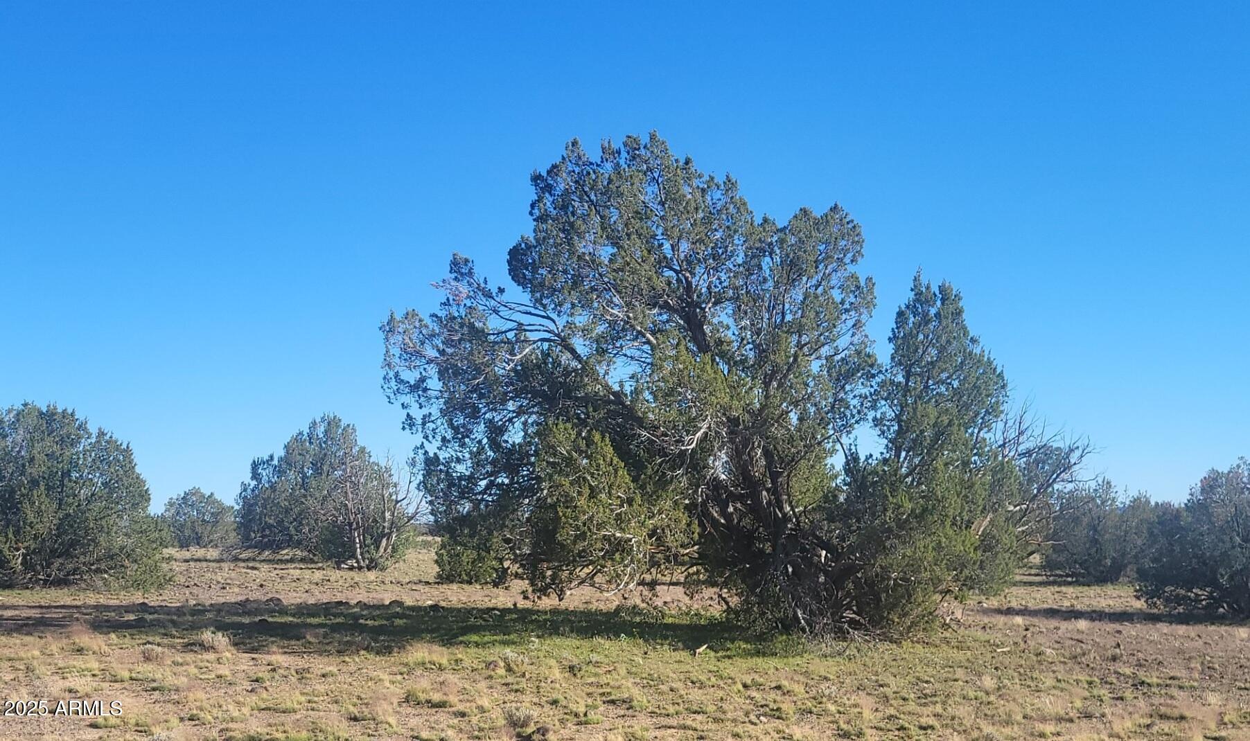 10 Acres  N. Tanner Road NE 17F