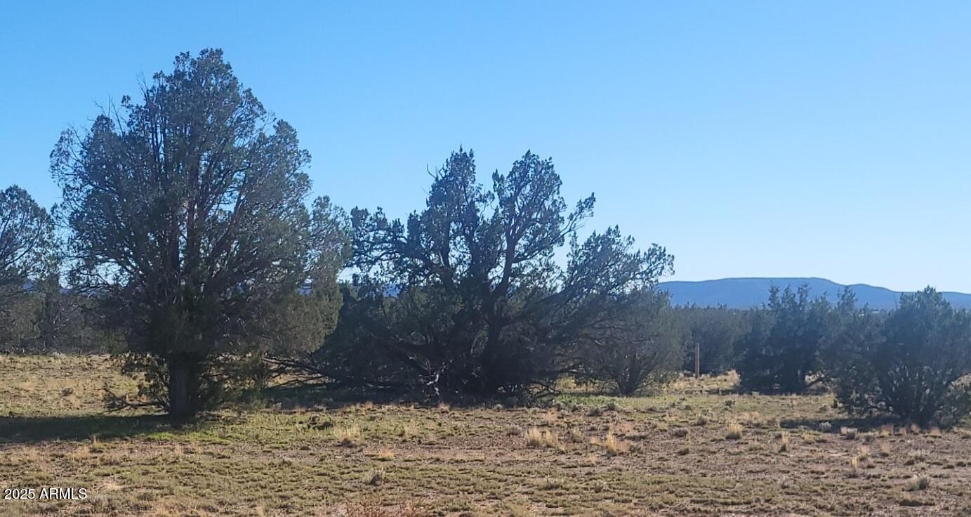 Juniperwood Ranch - Land