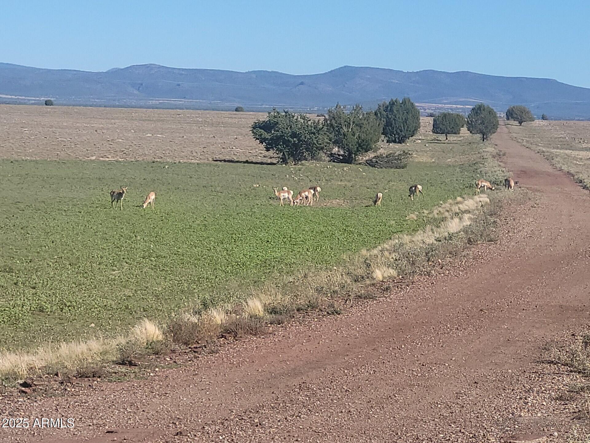 Juniperwood Ranch - Land