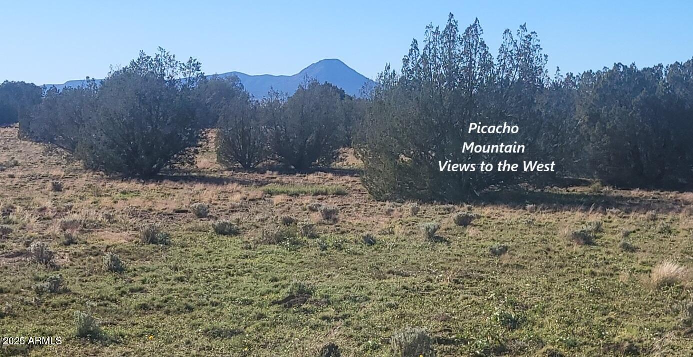 10 Acres  N. Tanner Road NE 17F