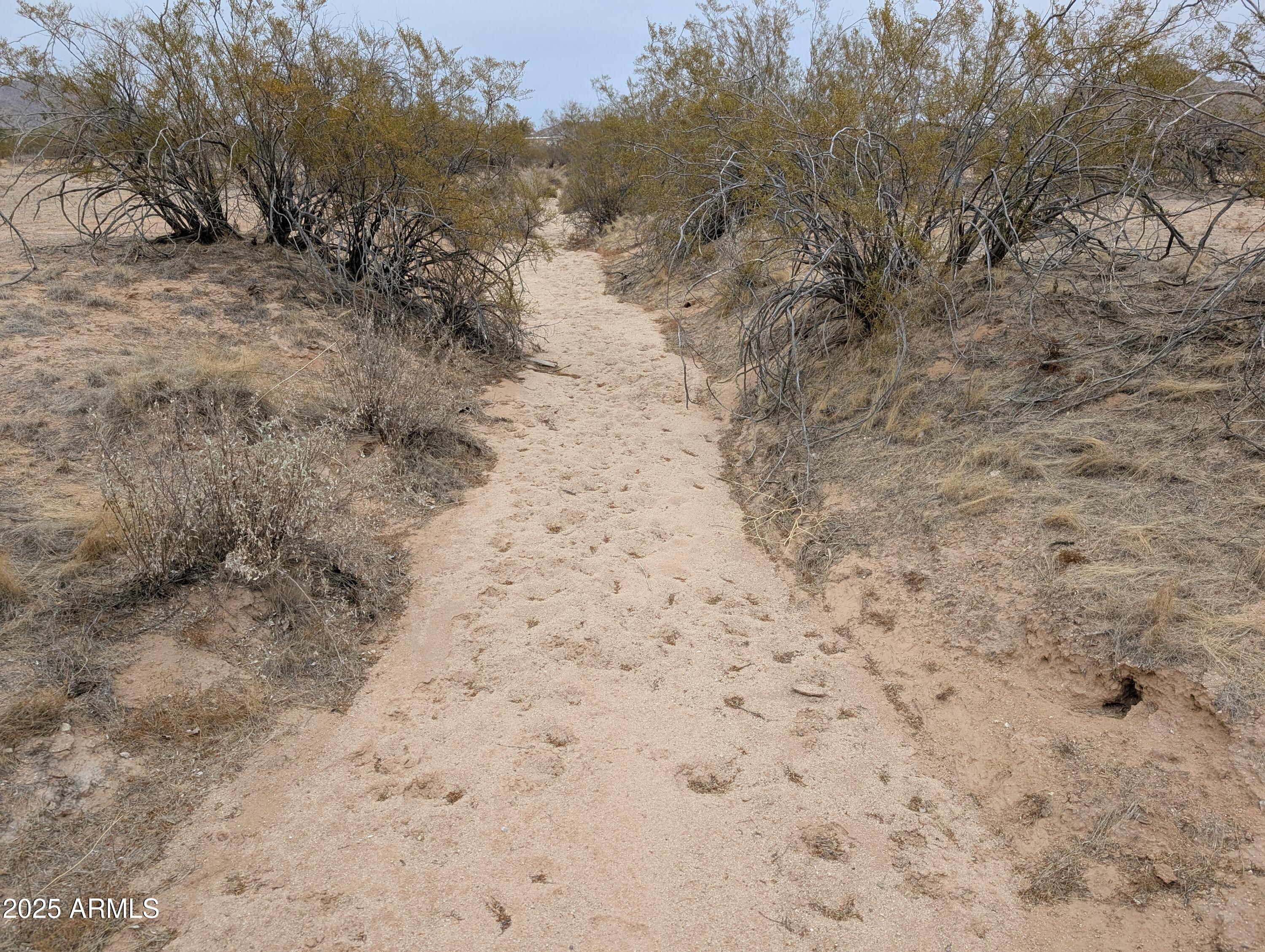 000 W Woodruff Road --