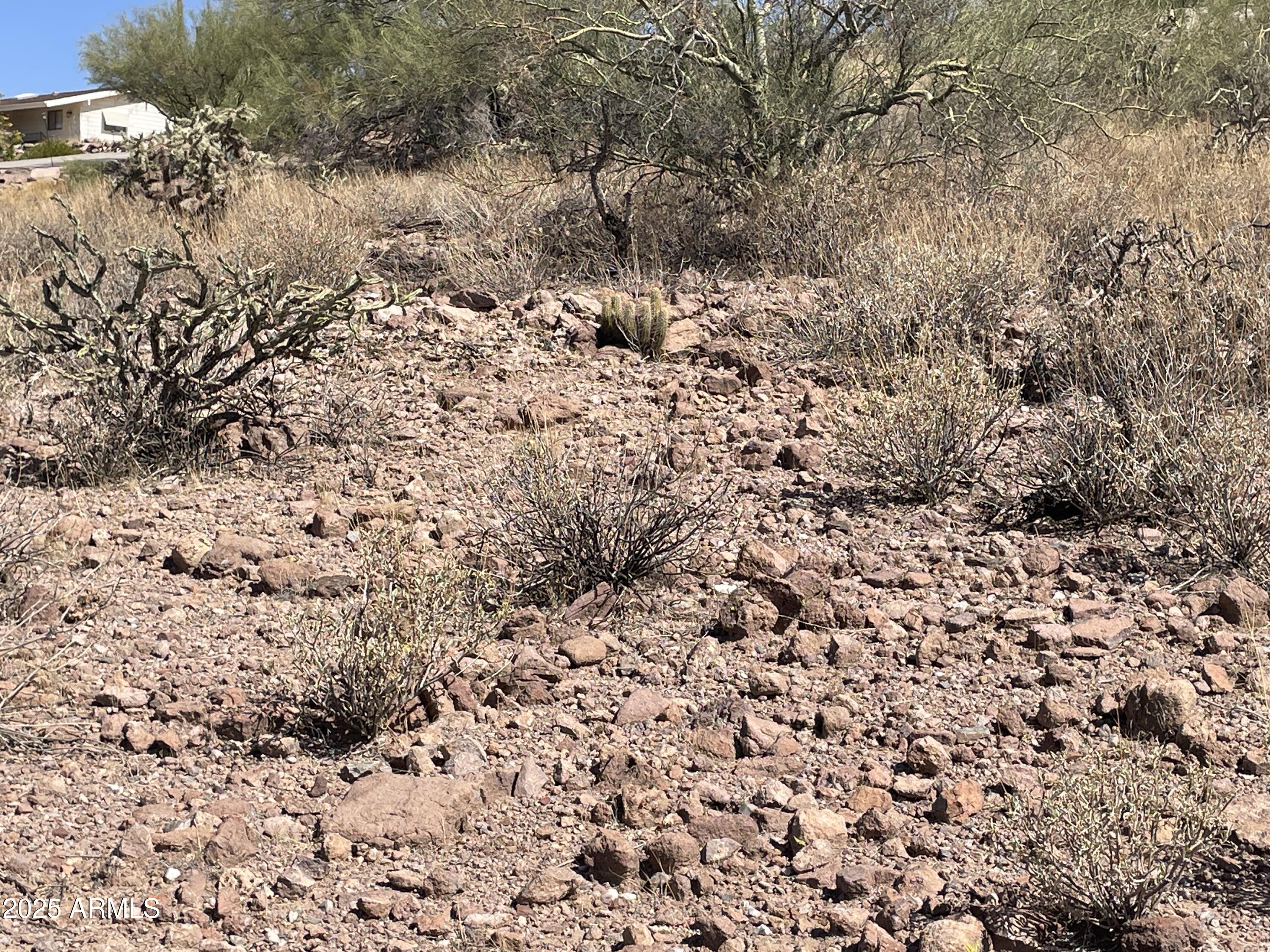 1097 N QUEEN MARY Way 218