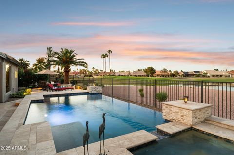 24215 S Lakeway Circle NE Sun Lakes AZ 85248