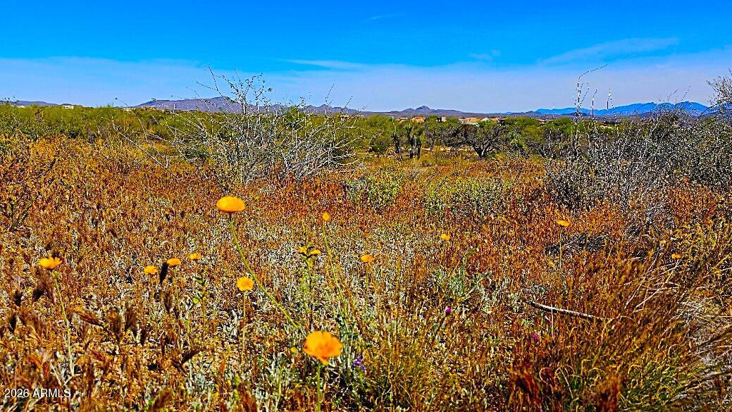 SUNRISE DESERT VISTAS - Land