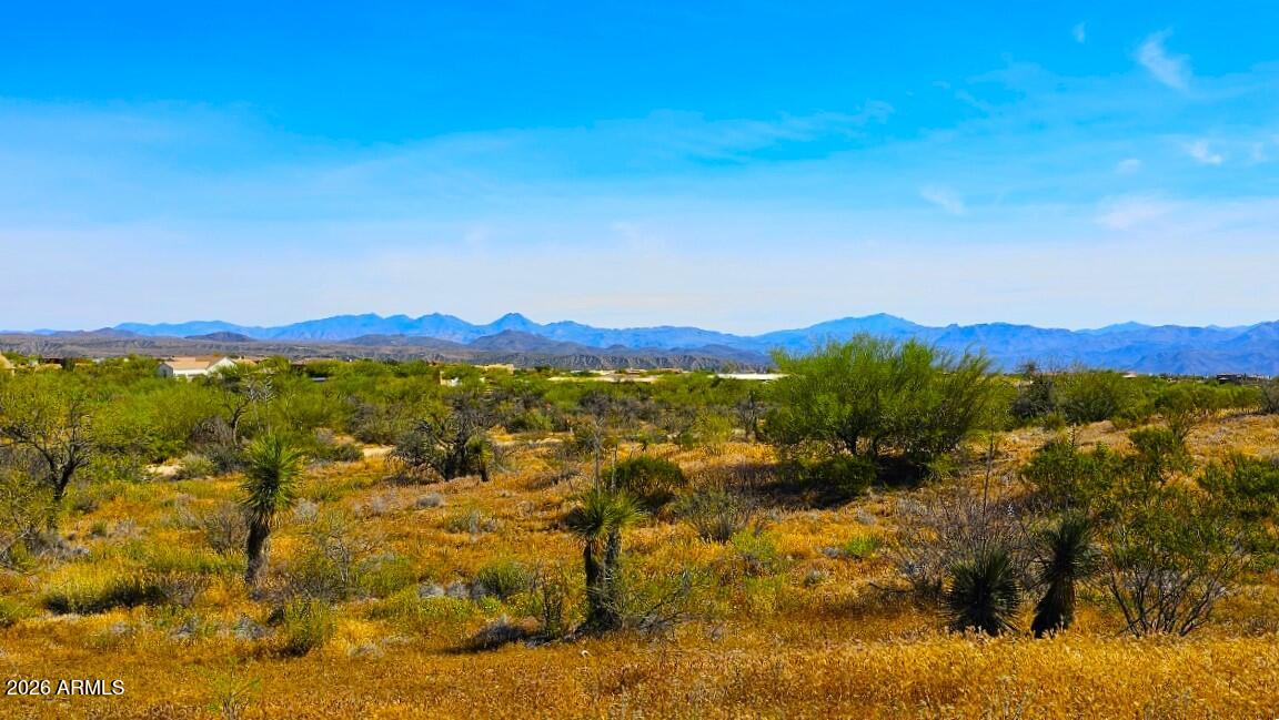 32833 N 137th Street 1