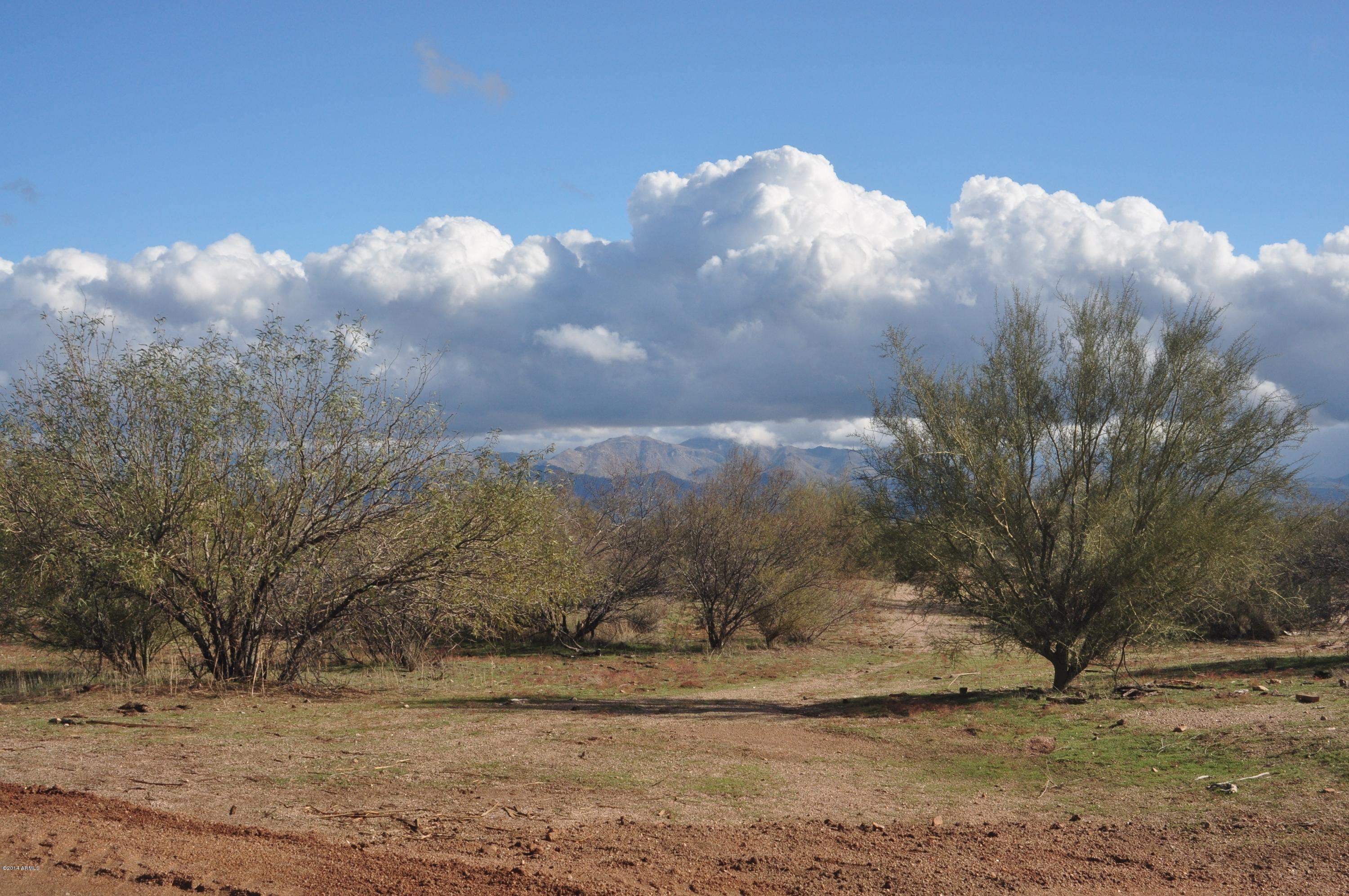 148XX E WILDCAT Drive B