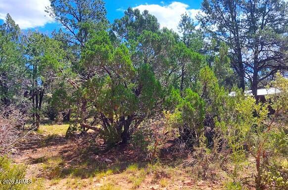 3491 EVERGREEN Drive 322