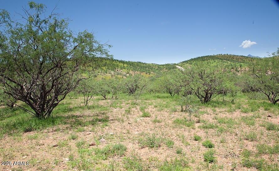 53 Circulo Vista Del Lago -- -