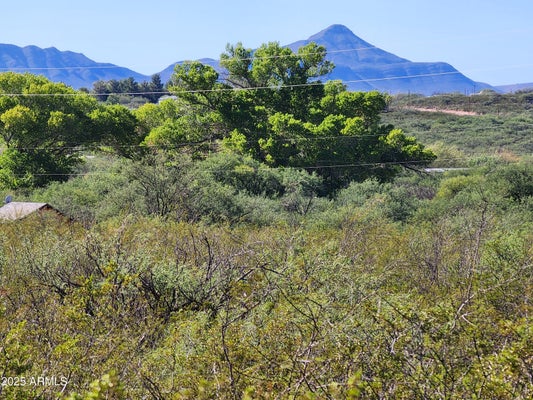 N WILLCOX RD # 5, HUACHUCA CITY, AZ 85616 - Image ab7a37fdaa64ca50702b141da754f4a3/3864136830