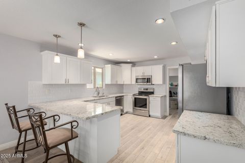 10414 E FLINTLOCK Drive Sun Lakes AZ 85248