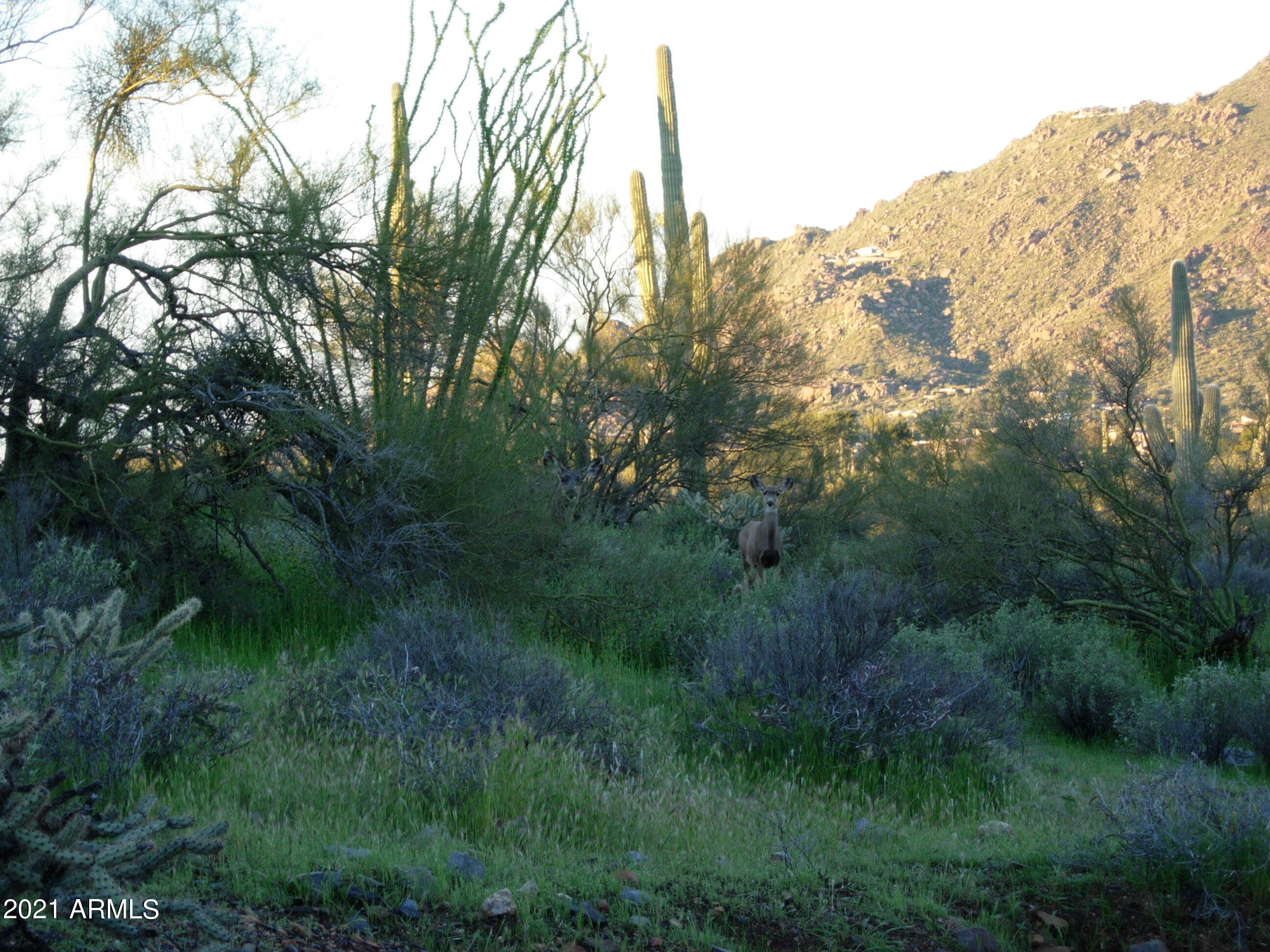7960 Rising Sun Road -