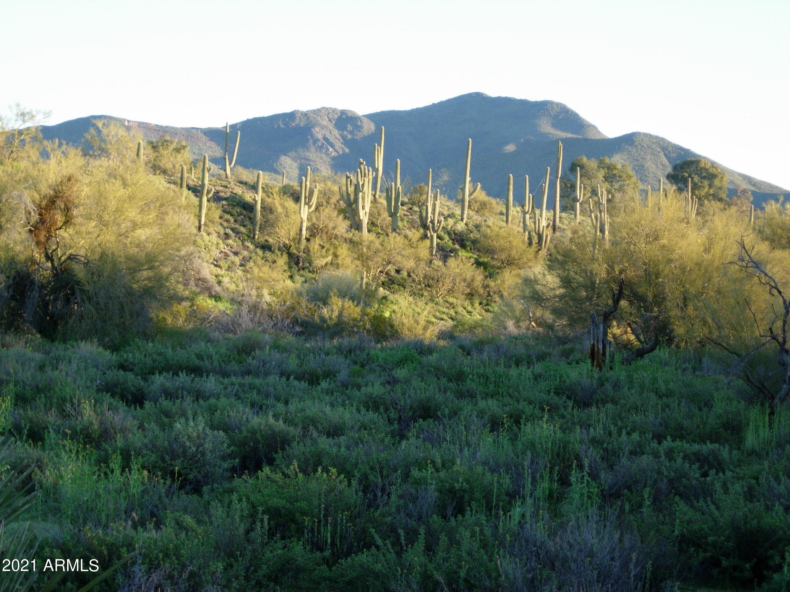 7960 Rising Sun Road -