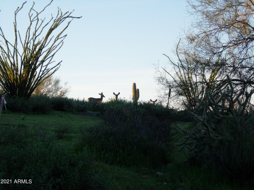 Photo of 7960 Rising Sun Road #-, Carefree, AZ 85377 (MLS # 7062900)