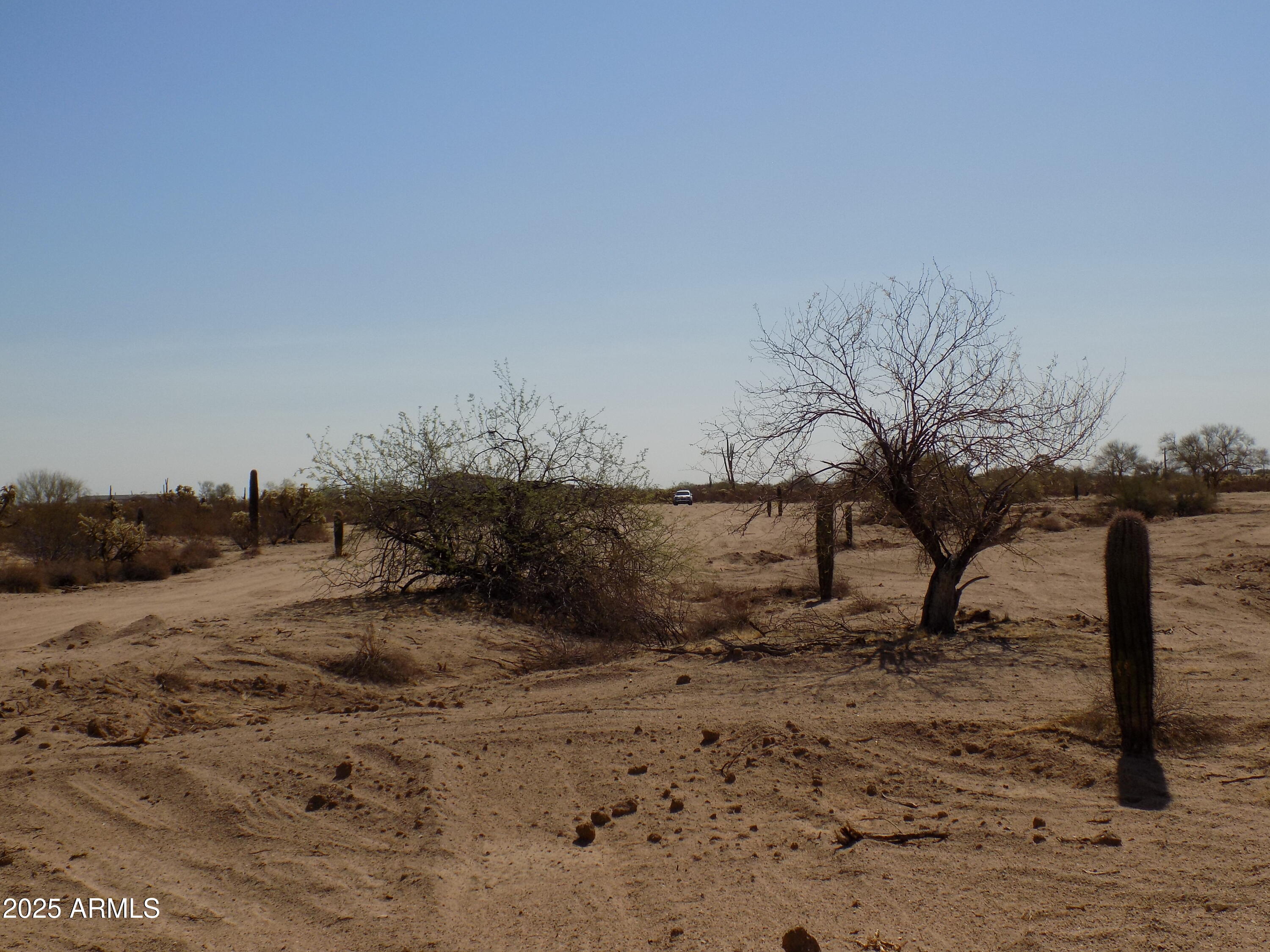 1.25 E TBD-Cactus Forest & N. Reed Road 3