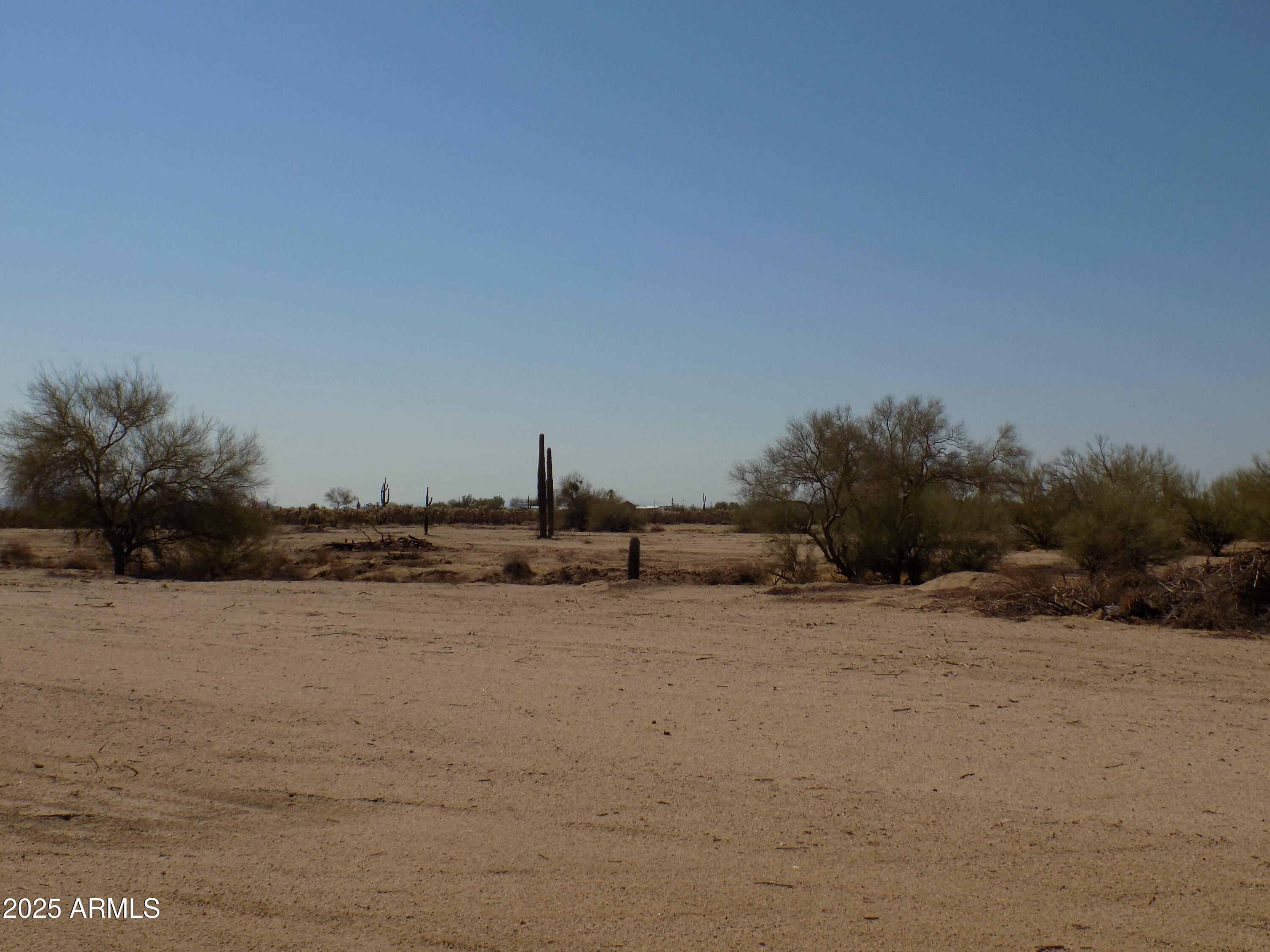 1.25 E TBD-Cactus Forest & N. Reed Road 3