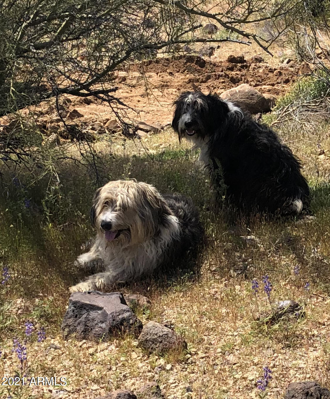 0000 S SCENIC LOOP Road 8