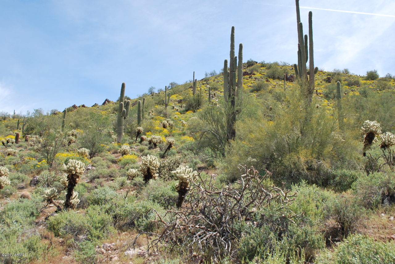 Silverleaf at DC Ranch - Land