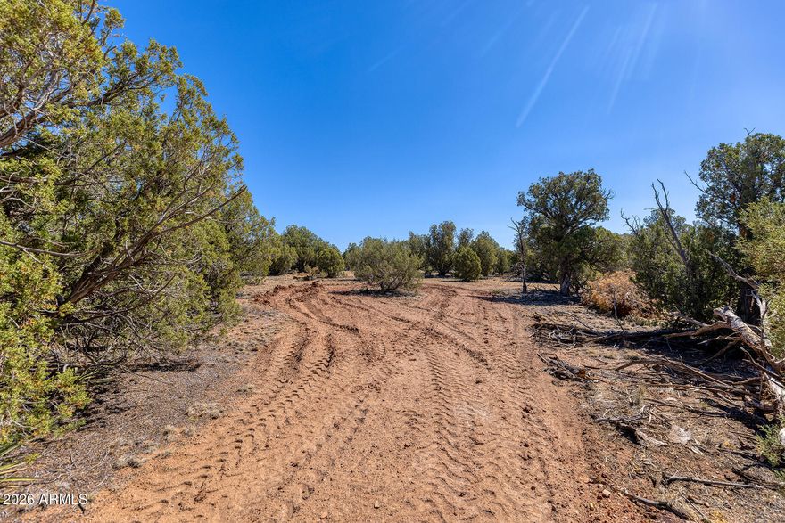 2.51 Acres of Opportunity in Show Low, AZ. Just miles from Linden, this beautiful parcel offers the perfect blend of privacy and convenience. Comes with a brand new private water well (5-year equipment warranty and a passing perc test! Enjoy being steps from the national forest, fully gated with no-climb fencing--perfect for animals & livestock Custom entry gates with extra-wide entrances make RV or trailer access easy. Plus, an equestrian trail runs right behind the property, connecting you directly to the forest! Build your dream home, hobby ranch, or getaway--this land is ready! **Two other lots are also for sale MLS 6987528 and 7004680**