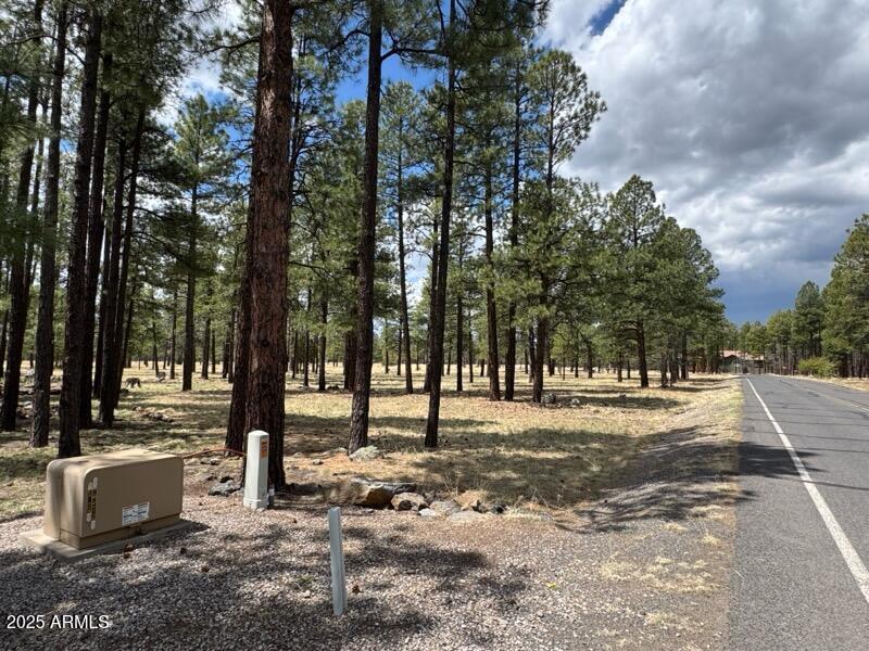 Lot 1 Hattie Greene -- 1