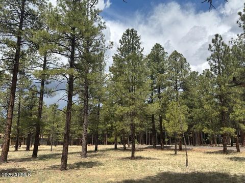 Lot 1 Hattie Greene -- 1 Flagstaff AZ 86001