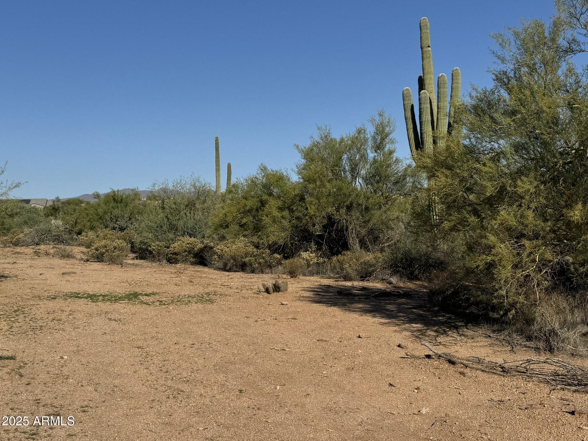 142XX E Tumbleweed Drive -