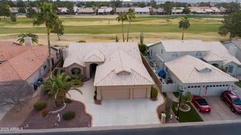 24831 S RIBBONWOOD Drive Sun Lakes AZ 85248