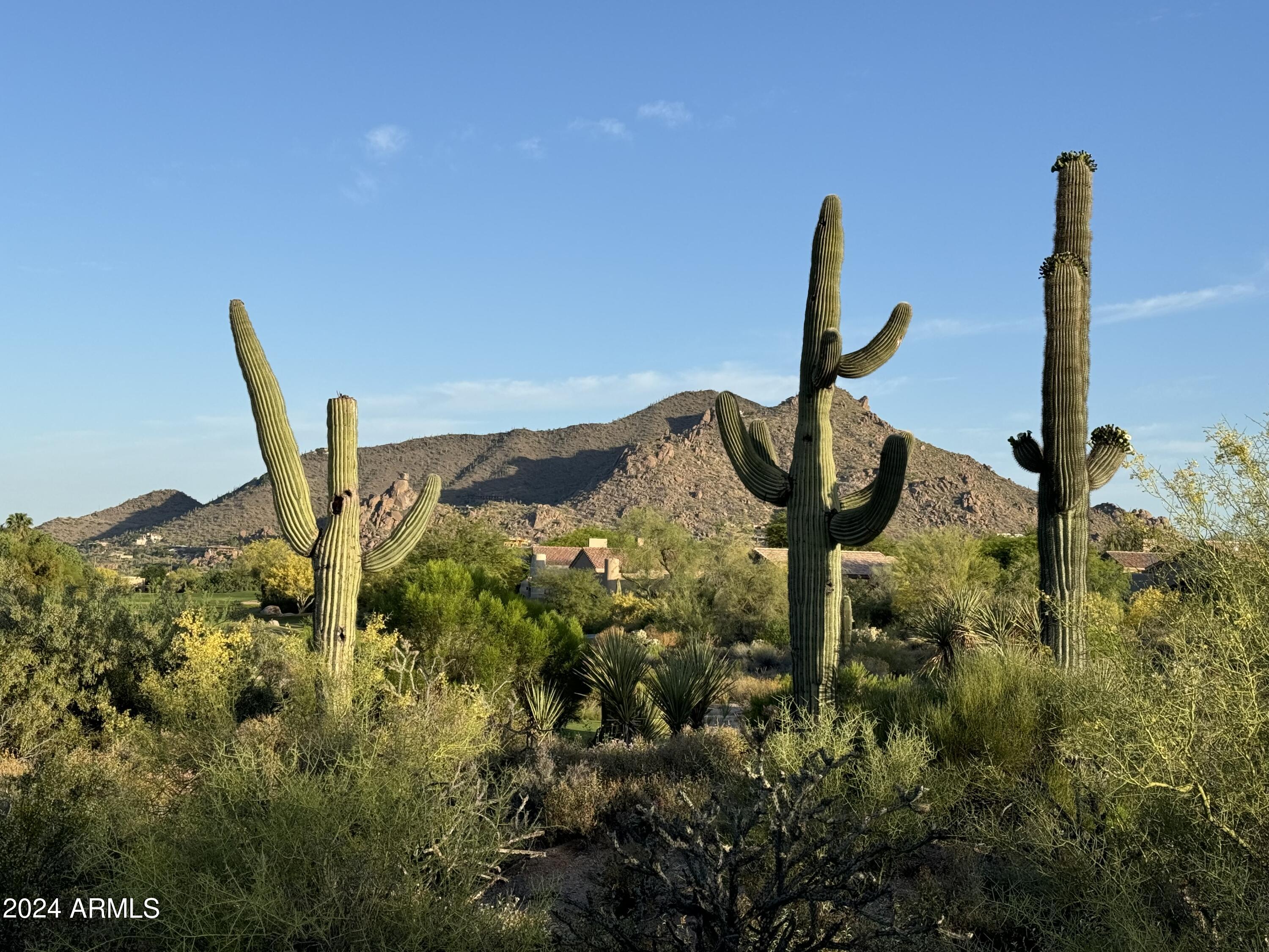 Scottsdale, Arizona 85266, United States, ,Land,Active,56598