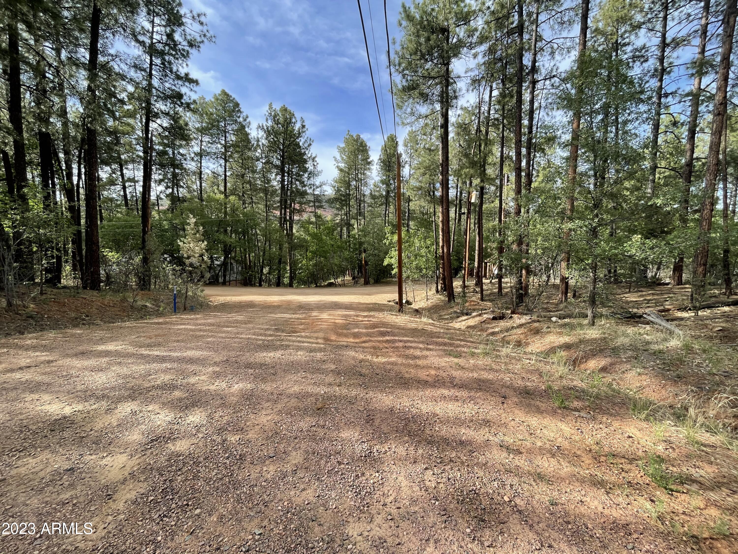 4770 N Pine Shadows Lane 2