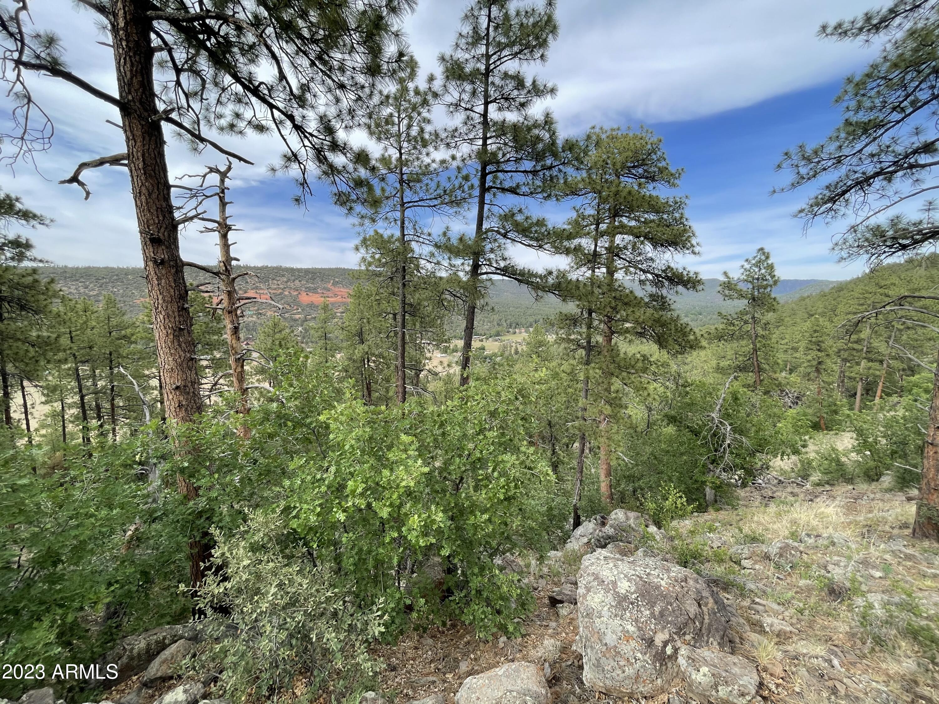 4770 N Pine Shadows Lane 2