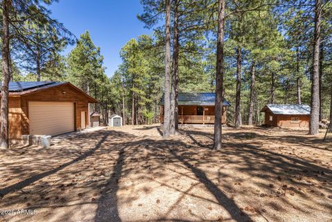 341 PINTO Road Forest Lakes AZ 85931