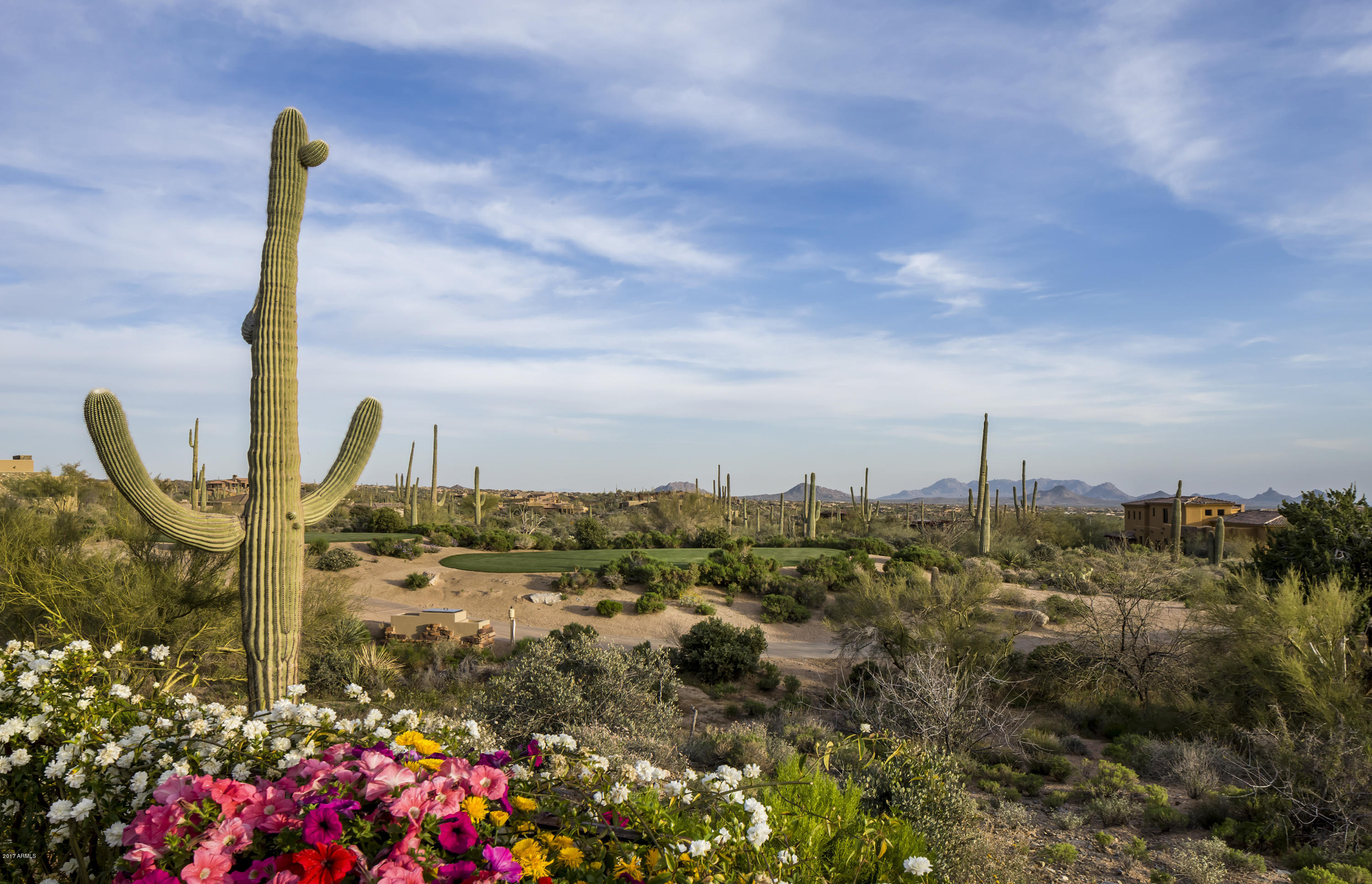 Desert Mountain - Residential