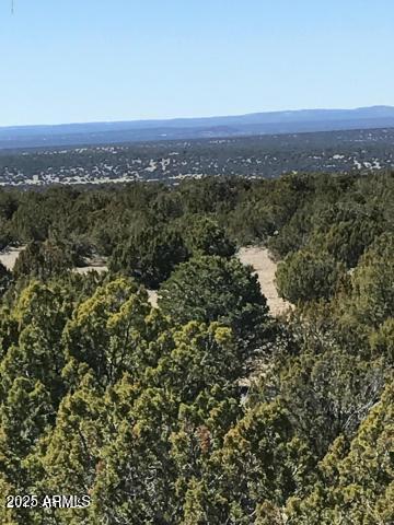IDLEWILD RANCH UNIT 1 - Land