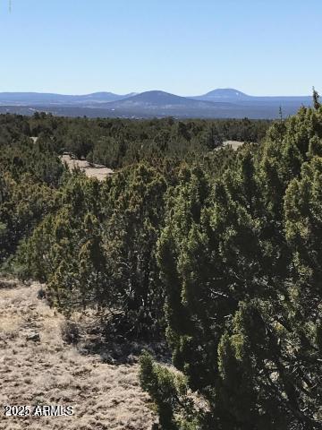 IDLEWILD RANCH UNIT 1 - Land