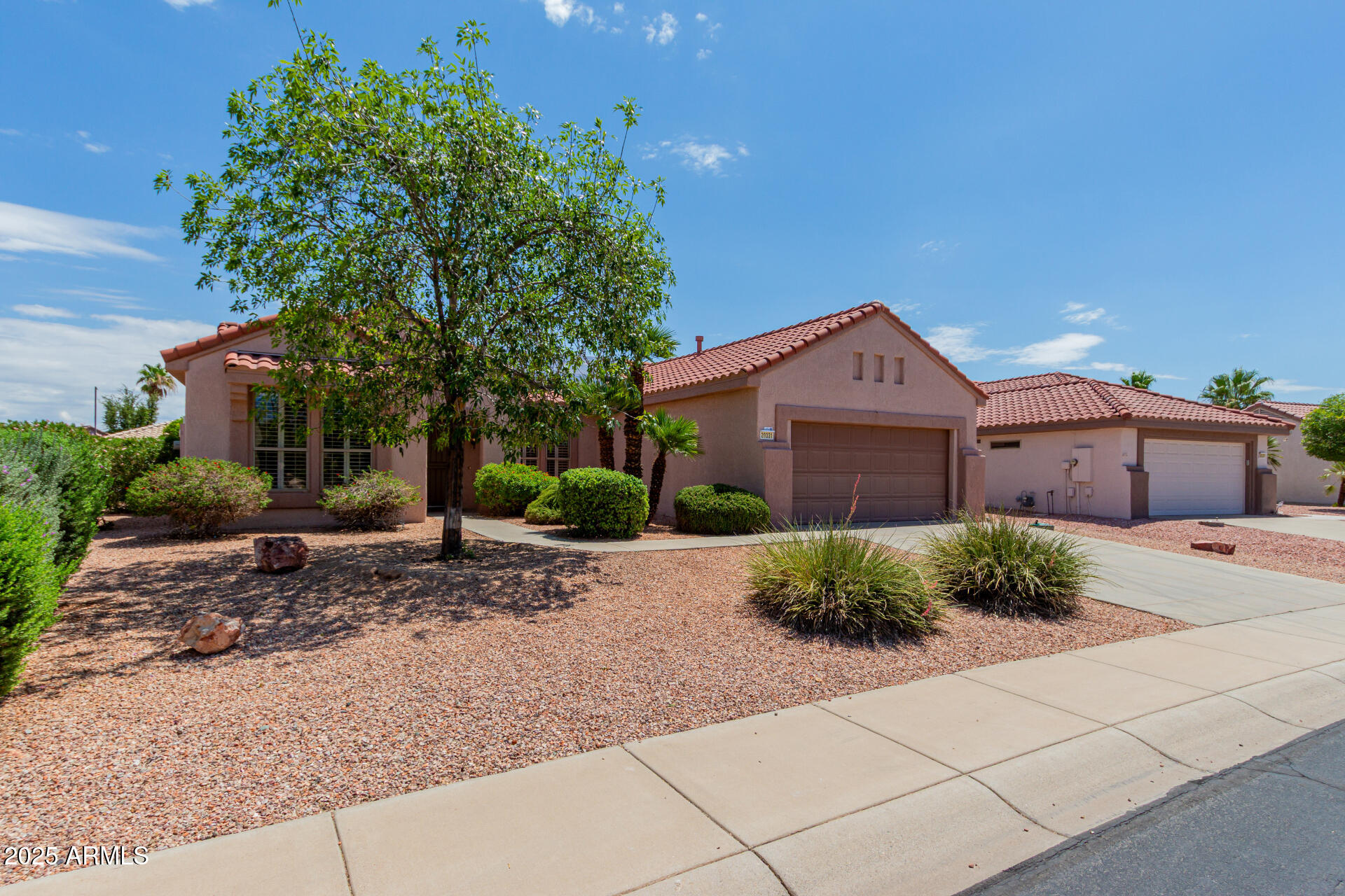 20331 N WILDFLOWER Drive
