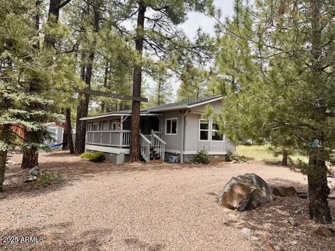 110 E OAK Drive Munds Park AZ 86017