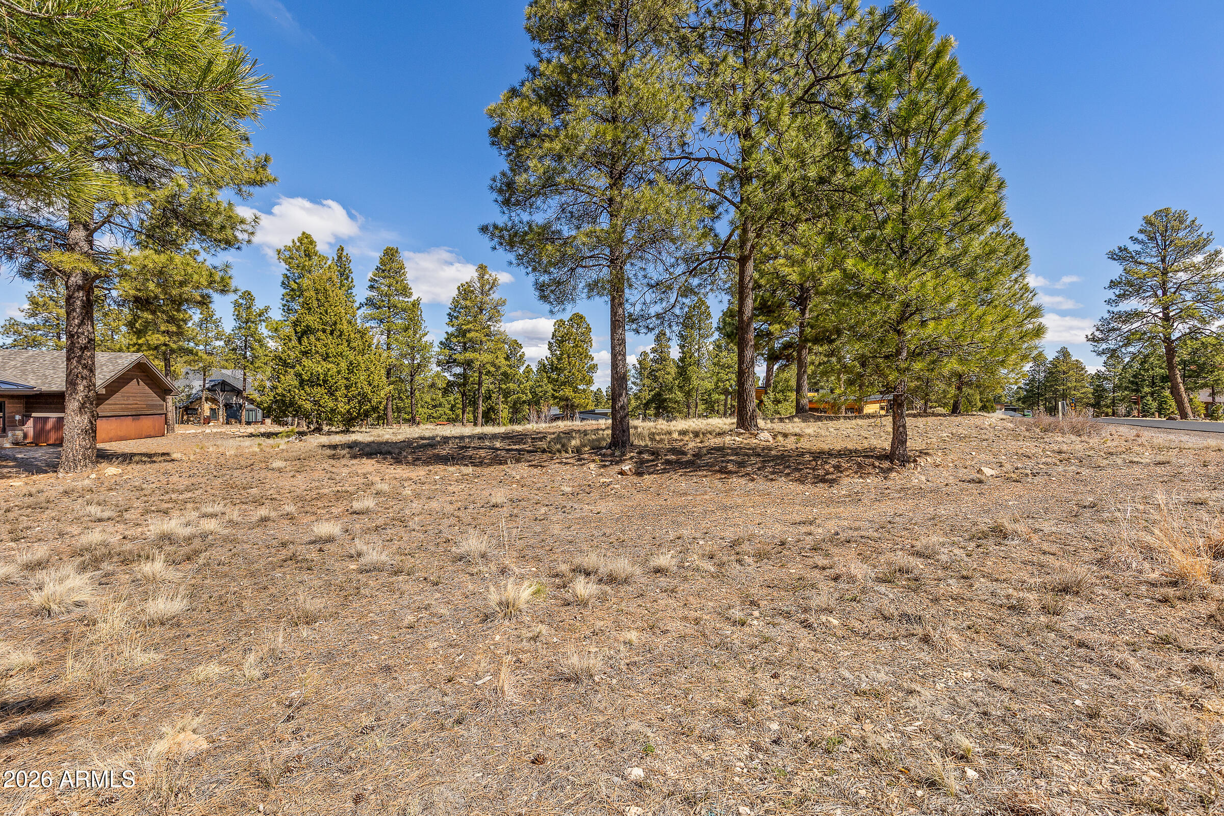 Pine Canyon - Land