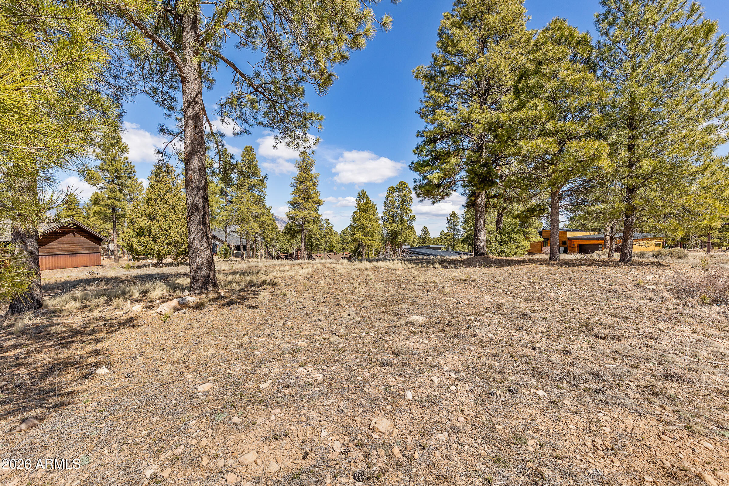 Pine Canyon - Land