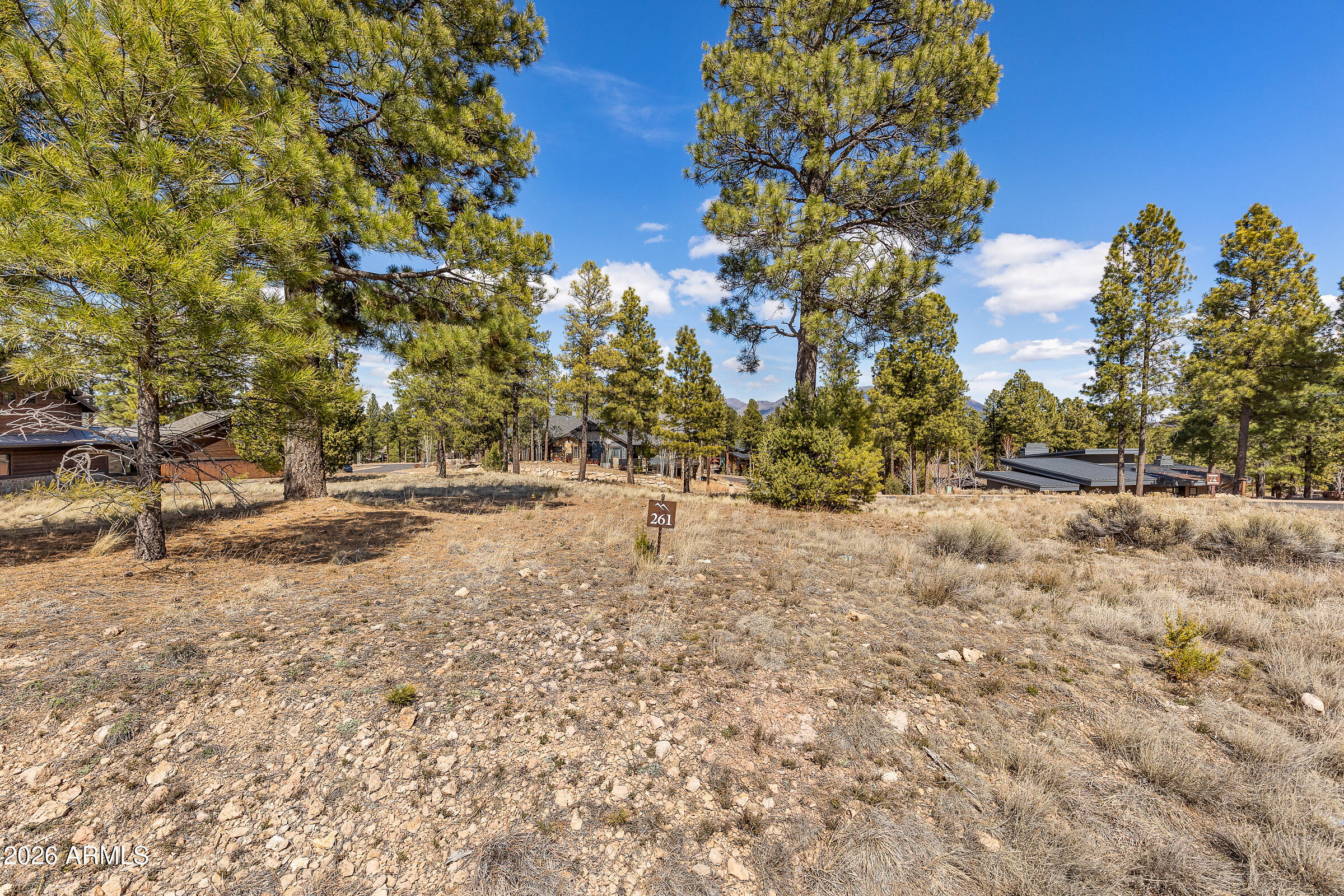Pine Canyon - Land