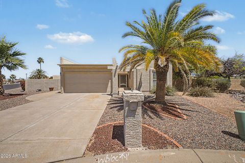 26433 S TRURO Drive Sun Lakes AZ 85248