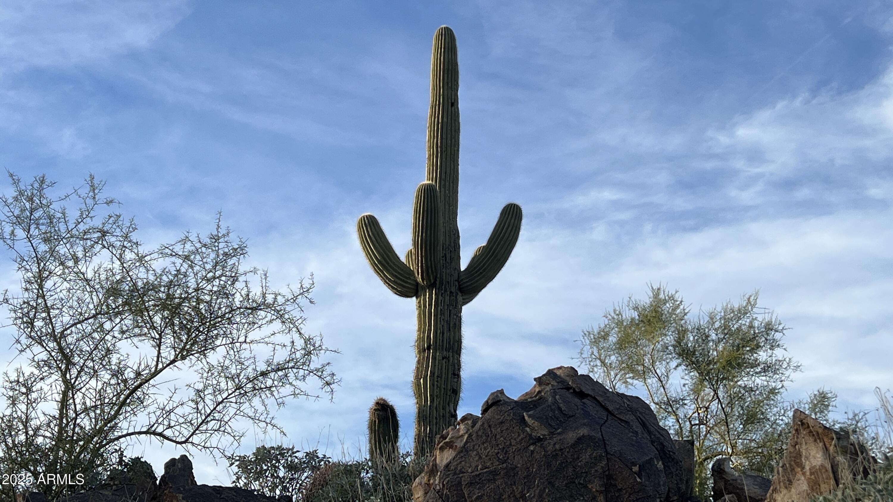 FOUNTAIN HILLS AZ FP 509 LOT 1-46 TR A-C - Land