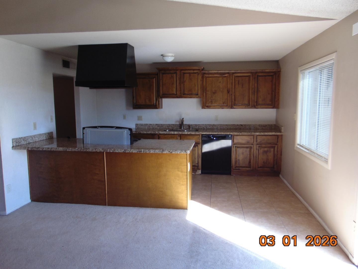 3329 E Gelding Drive